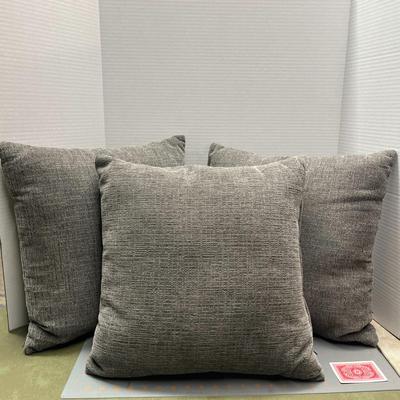 3 Throw Pillows  --  18x18