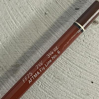 Vintage Fenwick Fishing Rod with Case