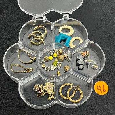 Earring Case and Earrings (46)