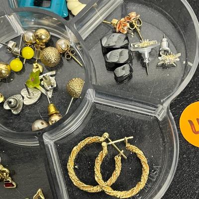 Earring Case and Earrings (46)