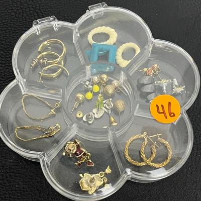 Earring Case and Earrings (46)