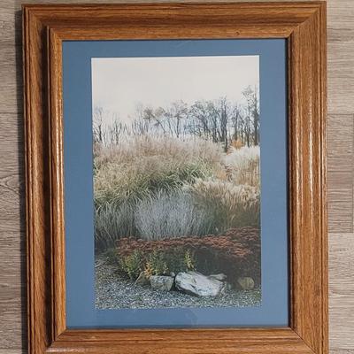 Original Photograph Artwork