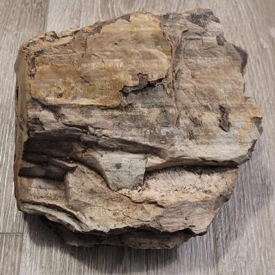 Multicolored Petrified Wood