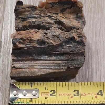 Polished Petrified Wood
