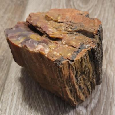 Petrified Wood with Red Tones