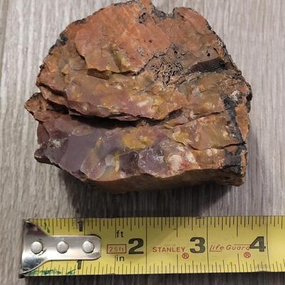 Petrified Wood with Red Tones