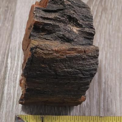 Petrified Wood with Red Tones
