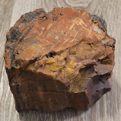 Petrified Wood with Red Tones