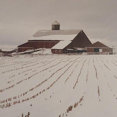Artist Proof Photograph 'Amish No. 420' by Bill Coleman