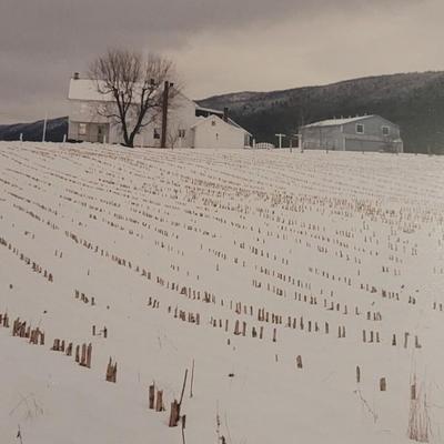 Artist Proof Photograph 'Amish No. 420' by Bill Coleman