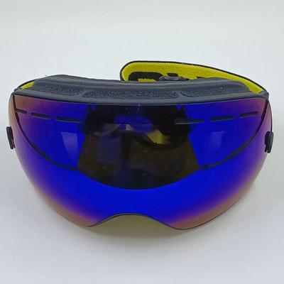 Brand New Mirrored Riding/Skiing Goggles #3