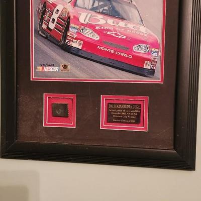 Dale Earnhardt Jr picture