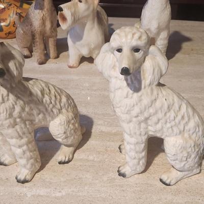 Set of poodles - 2