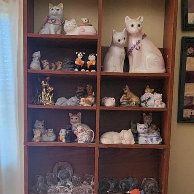 Display shelf w/cat stuff