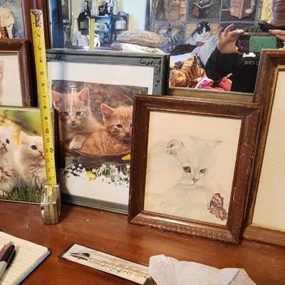 Assorted cat photos/framed