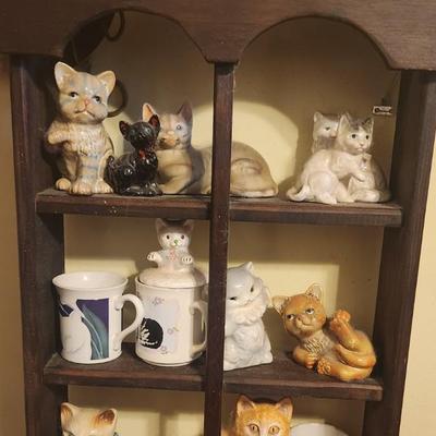 Display w/cats