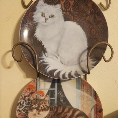 Plate cats & rack - 2