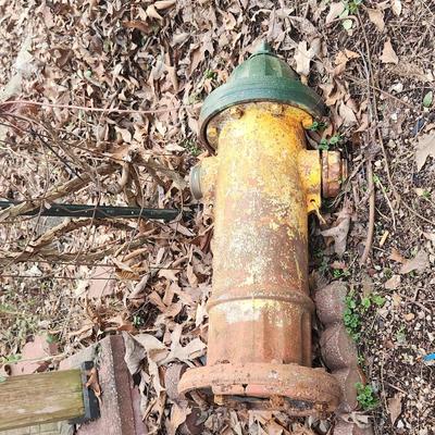 Fire hydrant two