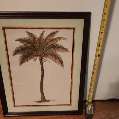Palm tree picture