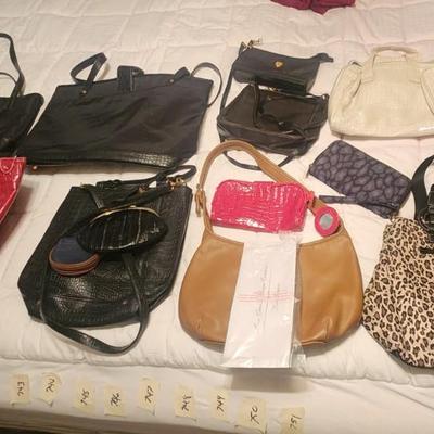 Purse and bag lot