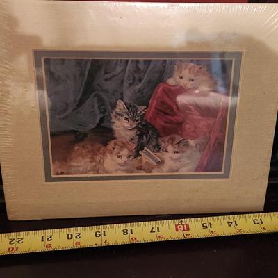 Small cat picture