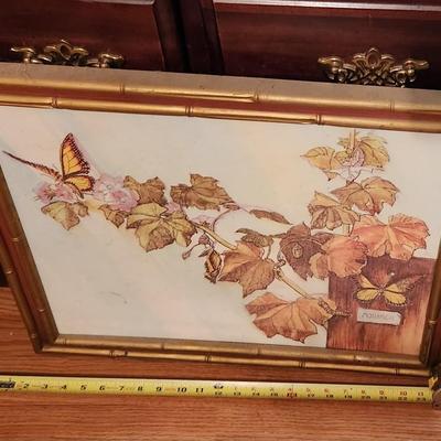 Butterflies in frame