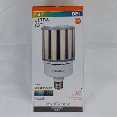 New Sylvania Indoor/Outdoor 250W LED Bulb