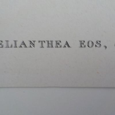 Helian Thea birds print 10.5 x 13.5 by historical society.