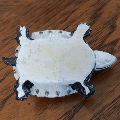 Two turtles and a set of four stone Thirsty stone Mountain scenery coasters