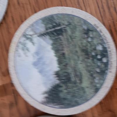 Two turtles and a set of four stone Thirsty stone Mountain scenery coasters