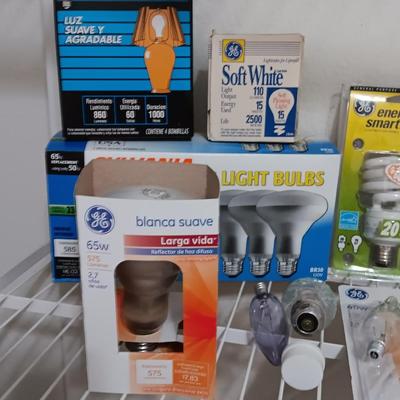 Light up your life! Assortment of lightbulbs