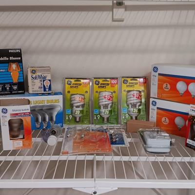 Light up your life! Assortment of lightbulbs