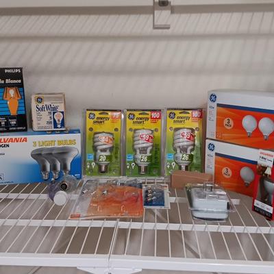 Light up your life! Assortment of lightbulbs