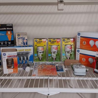 Light up your life! Assortment of lightbulbs