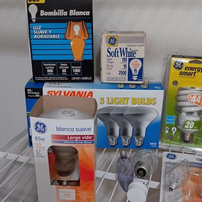 Light up your life! Assortment of lightbulbs