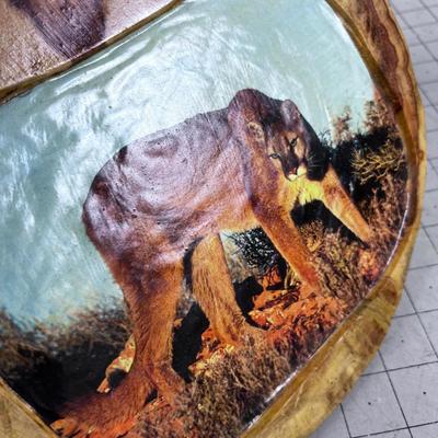 Vintage COUGAR (Mountain Lion)  Wall Plaque 