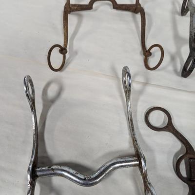 Horse Bits