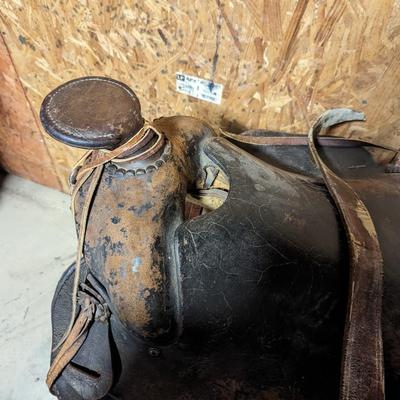 Horse Saddle
