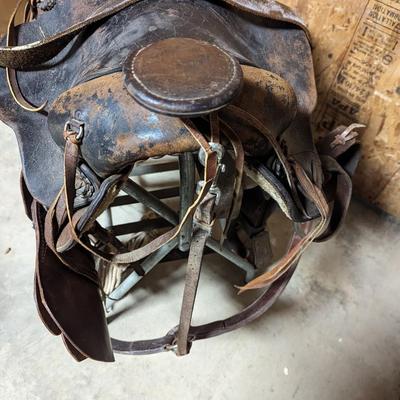 Horse Saddle