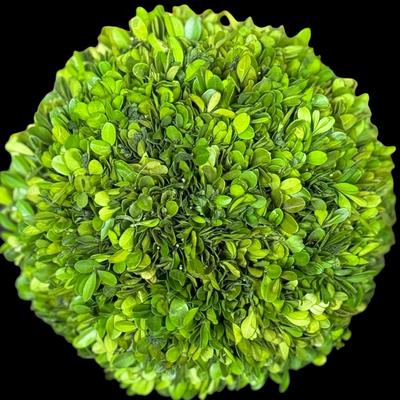 Topiary Boxwood Ball