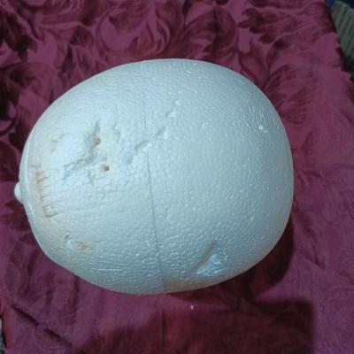 Styrofoam head