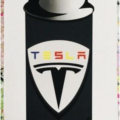 MR CLEVER - (TESLA) SMART CAR SPRAY CAN