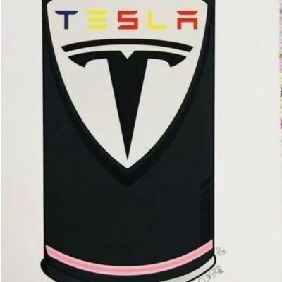 MR CLEVER - (TESLA) SMART CAR SPRAY CAN