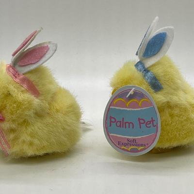 2 Dandee Palm Pet Baby Chicks dressed as Bunnies