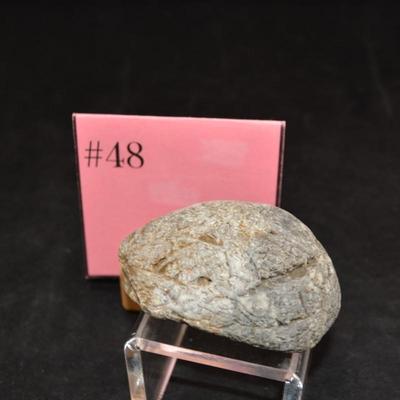 Fine Example of Coprolite Fossilized Dinosaur Droppings