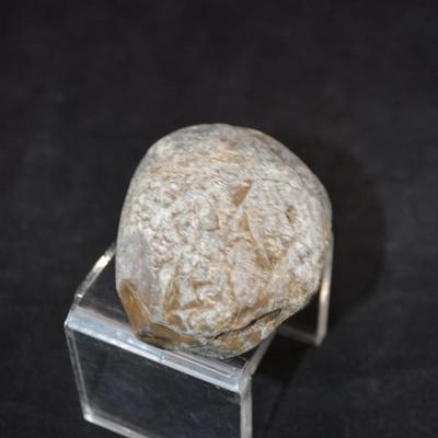 Fine Example of Coprolite Fossilized Dinosaur Droppings