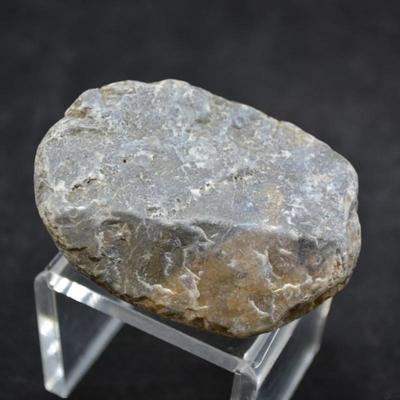 Fine Example of Coprolite Fossilized Dinosaur Droppings