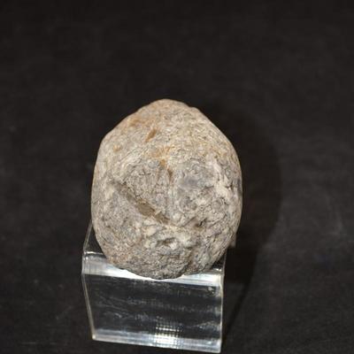 Fine Example of Coprolite Fossilized Dinosaur Droppings