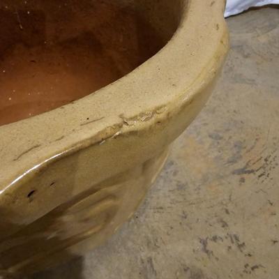 Large Ceramic Planters & Potting Mix (B-JS)