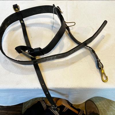 N826 WWII & Militaria Memorabilia